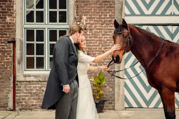 Hochzeiten – Foto 18 von 24