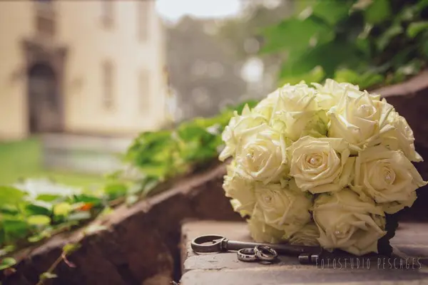 Hochzeiten – Foto 23 von 24