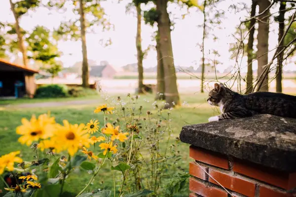 Airbnb in Lengerich – Foto 75 von 79