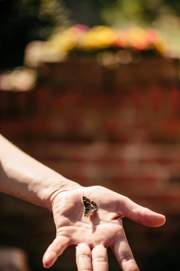 Airbnb in Lengerich – Foto 33 von 79